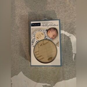 🆕 Bebe Au Lait | Monthly Milestone Wooden Disks | baby OS